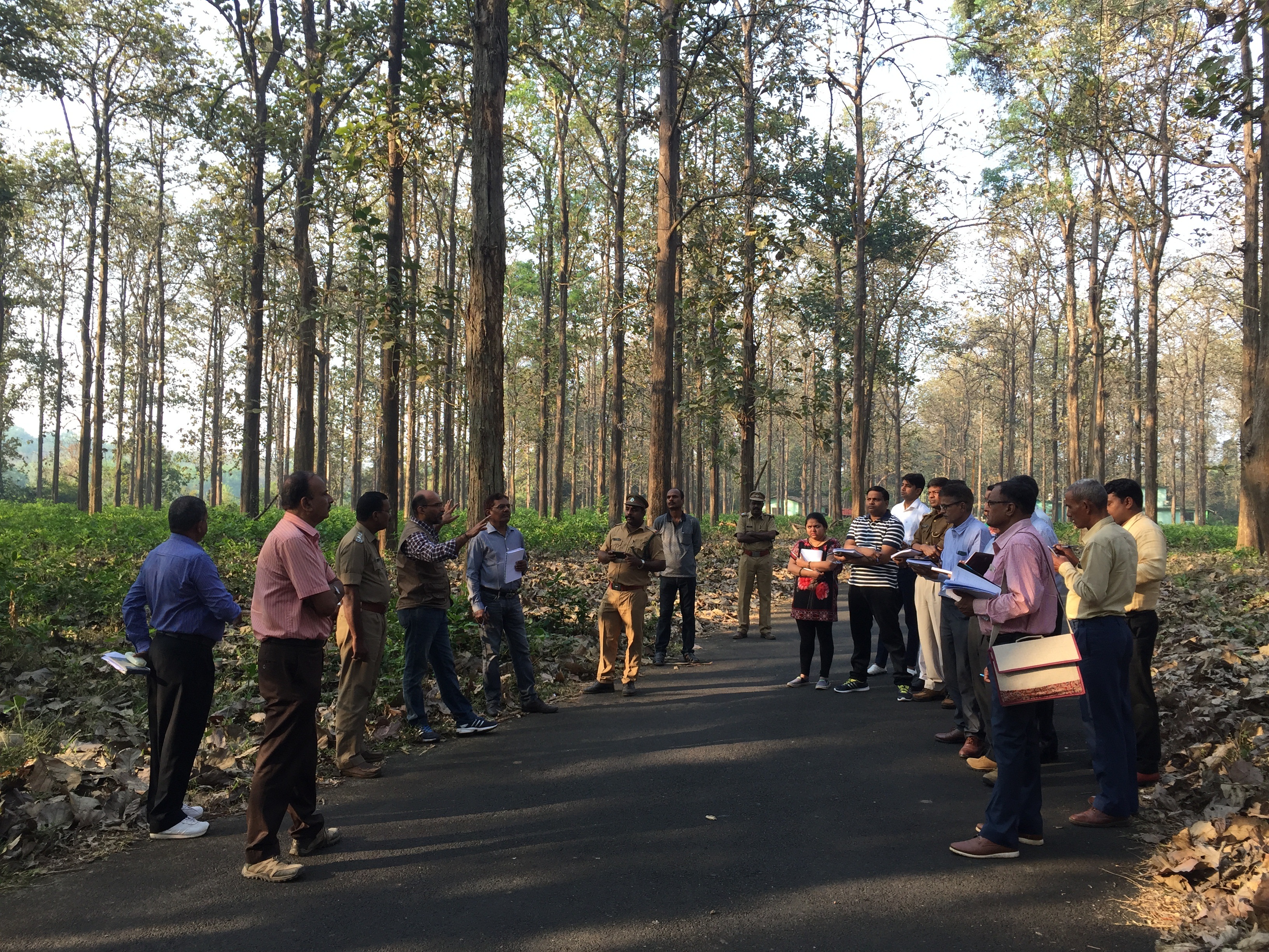 Visit of Officials from Uttar Pradesh Forest Department  to Nilambur Teak Plantation - February 2020