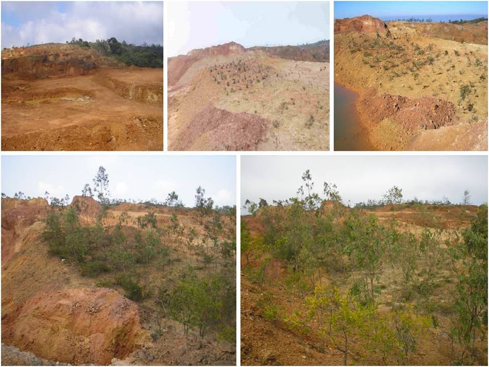 Reclamation of bauxited mined outs
