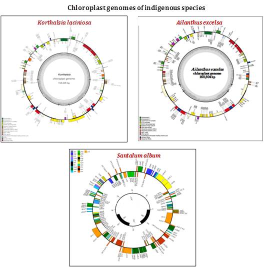 Genomic resources in indigenous tree species1
