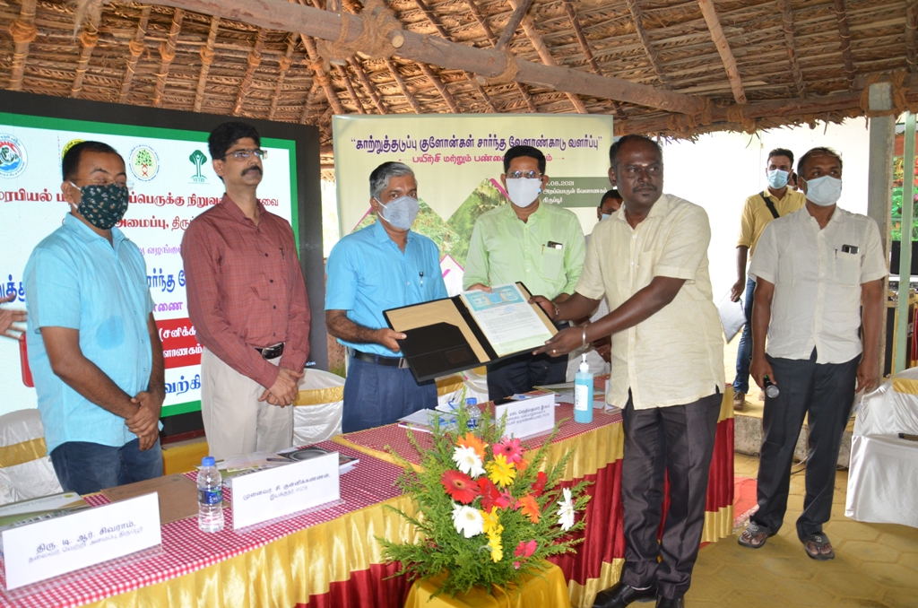 Licensing of Windbreak Clones of IFGTB to Anandha Agriculture Solutions in Thoothukudi